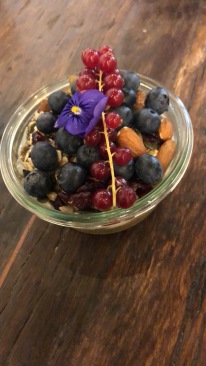 Skyr (Icelandic yogurt)with rhubarb compote garnished with elderberries, blueberries, and almonds